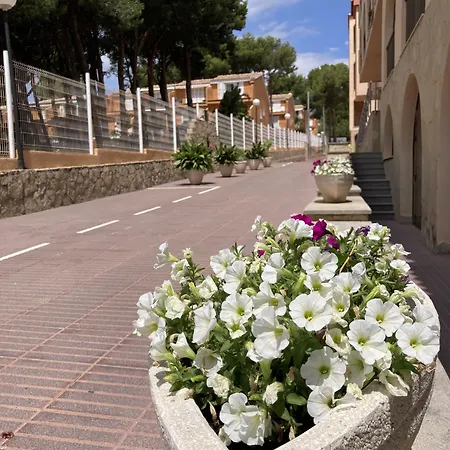 Sancho Iii 3* Alcossebre