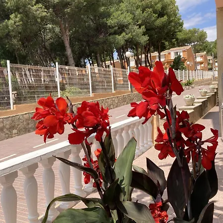 Hotel Sancho Iii Alcossebre