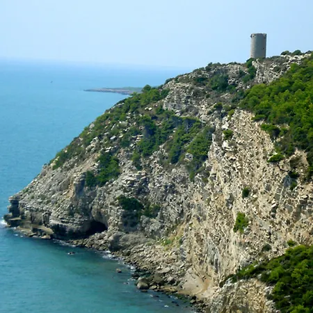 Sancho Iii Alcossebre