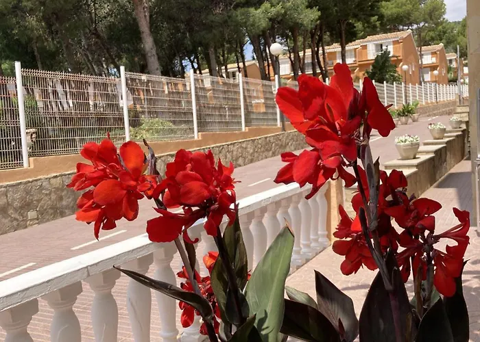 Hotel Sancho Iii Alcossebre